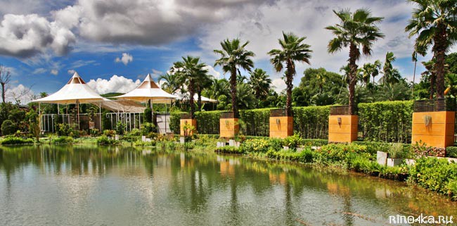 Ботанический сад на Пхукете, пхукетский парк орхидей, красивые места на Пхукете, куда пойти с детьми
