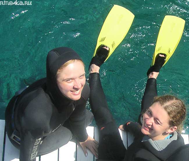 дайвинг для новичков