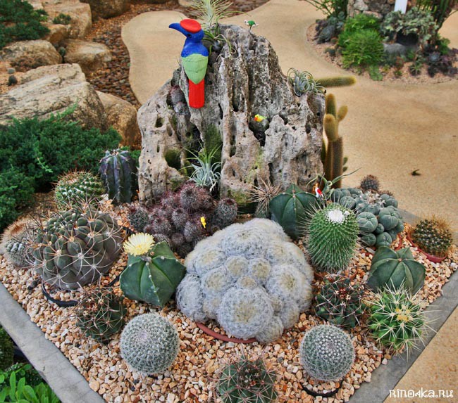 Ботанический сад на Пхукете, пхукетский парк орхидей, красивые места на Пхукете, куда пойти с детьми