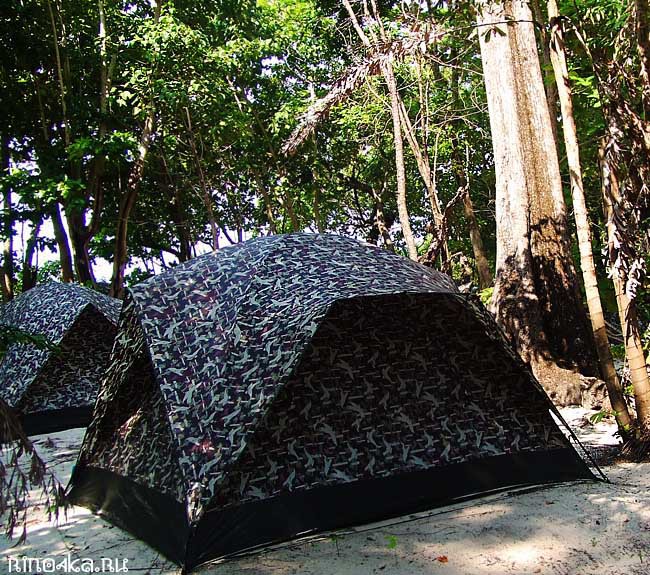 сноркелинг на Симиланских островах