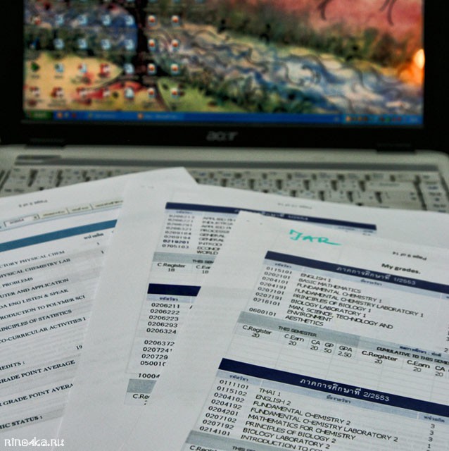 работа на пхукете