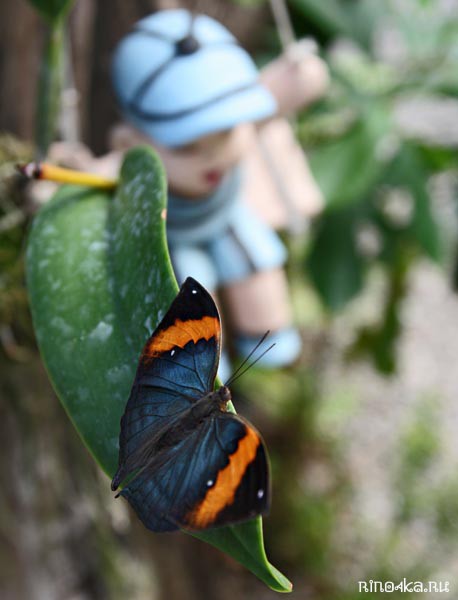 Ботанический сад на Пхукете, пхукетский парк орхидей, красивые места на Пхукете, куда пойти с детьми