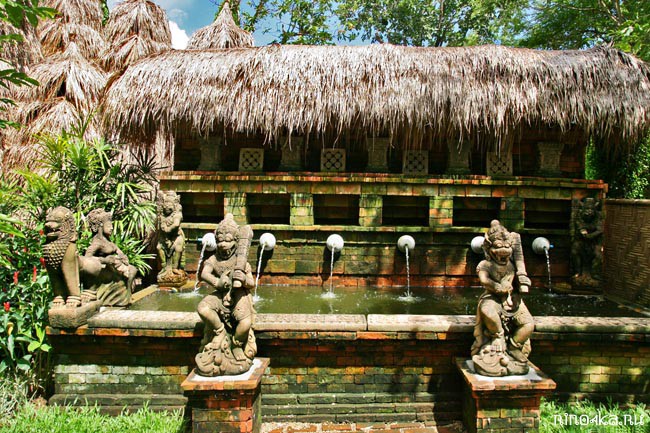 Ботанический сад на Пхукете, пхукетский парк орхидей, красивые места на Пхукете, куда пойти с детьми