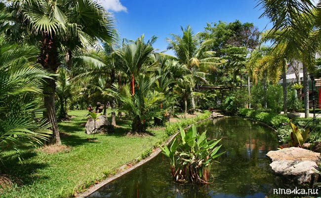 Ботанический сад на Пхукете, пхукетский парк орхидей, красивые места на Пхукете, куда пойти с детьми