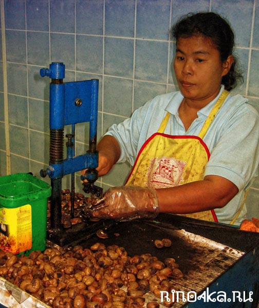 Орехи кешью в Тайланде