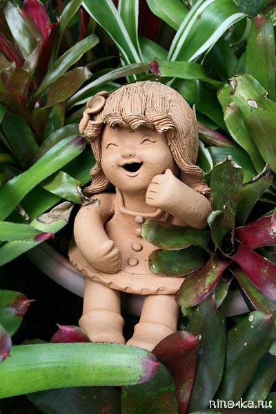 Ботанический сад на Пхукете, пхукетский парк орхидей, красивые места на Пхукете, куда пойти с детьми