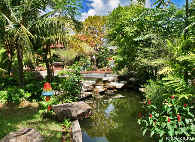 Ботанический сад на Пхукете, пхукетский парк орхидей, красивые места на Пхукете, куда пойти с детьми