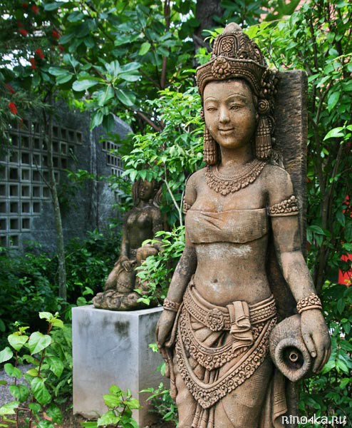 Ботанический сад на Пхукете, пхукетский парк орхидей, красивые места на Пхукете, куда пойти с детьми