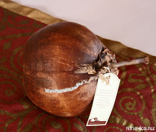 кокосовое масло