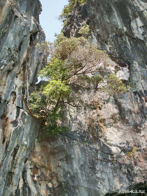 бухта Пханг Нга