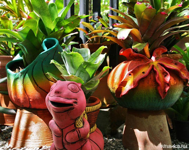 Ботанический сад на Пхукете, пхукетский парк орхидей, красивые места на Пхукете, куда пойти с детьми