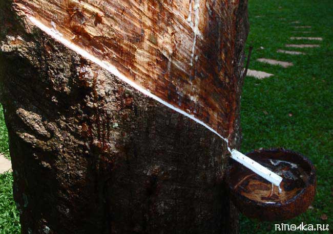 Натуральный латекс