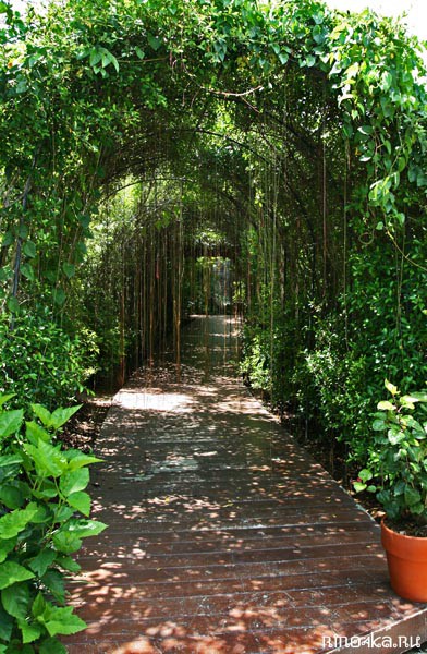 Ботанический сад на Пхукете, пхукетский парк орхидей, красивые места на Пхукете, куда пойти с детьми