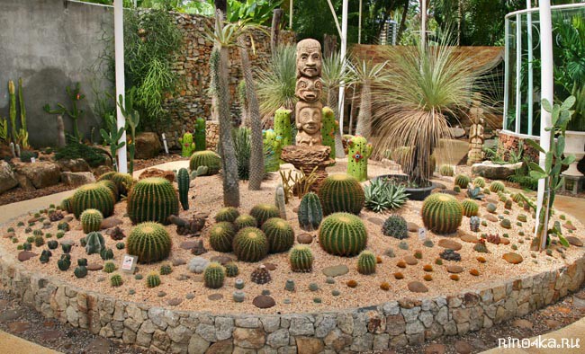 Ботанический сад на Пхукете, пхукетский парк орхидей, красивые места на Пхукете, куда пойти с детьми