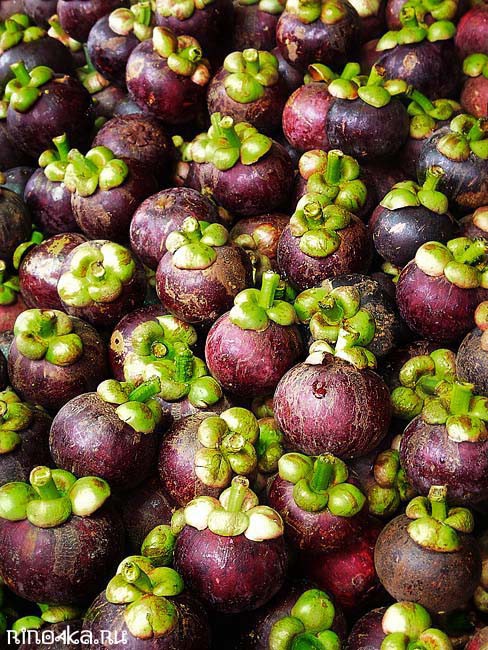 экзотические фрукты