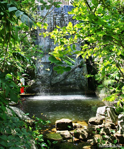 Ботанический сад на Пхукете, пхукетский парк орхидей, красивые места на Пхукете, куда пойти с детьми