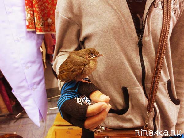 День из моей жизни