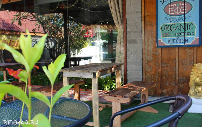 Natural Efe Macrobiotic World