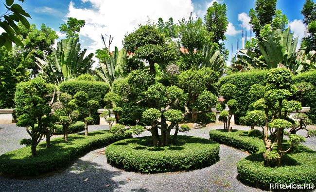 Ботанический сад на Пхукете, пхукетский парк орхидей, красивые места на Пхукете, куда пойти с детьми
