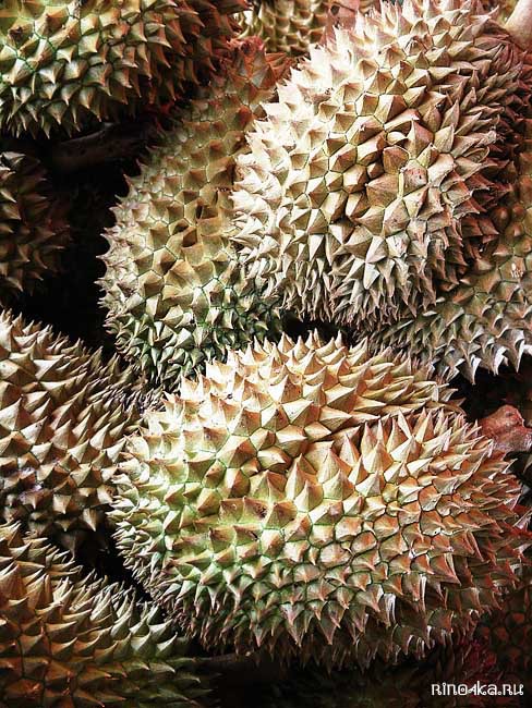 тайские фрукты