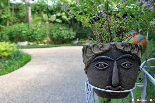 Ботанический сад на Пхукете, пхукетский парк орхидей, красивые места на Пхукете, куда пойти с детьми