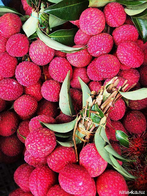 тайские фрукты какие есть