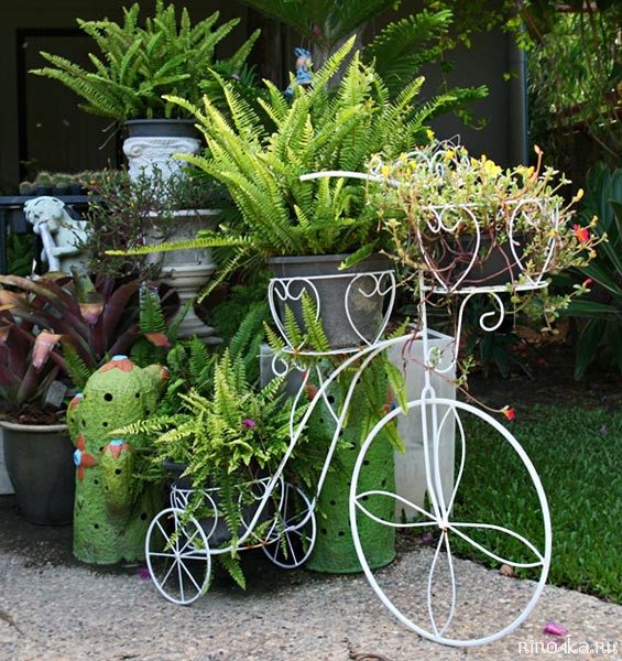 Ботанический сад на Пхукете, пхукетский парк орхидей, красивые места на Пхукете, куда пойти с детьми