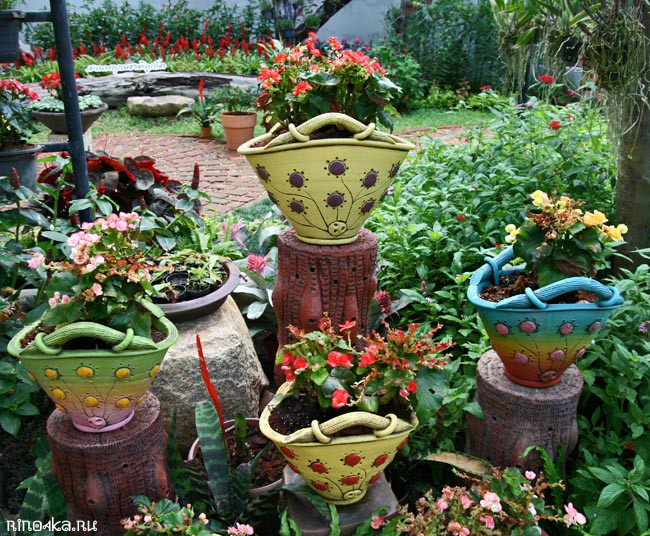 Ботанический сад на Пхукете, пхукетский парк орхидей, красивые места на Пхукете, куда пойти с детьми