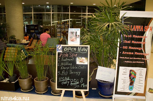 Рыбный спа