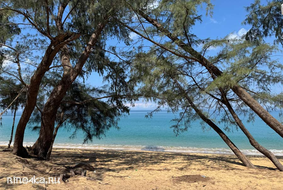 mai khao beach phuket