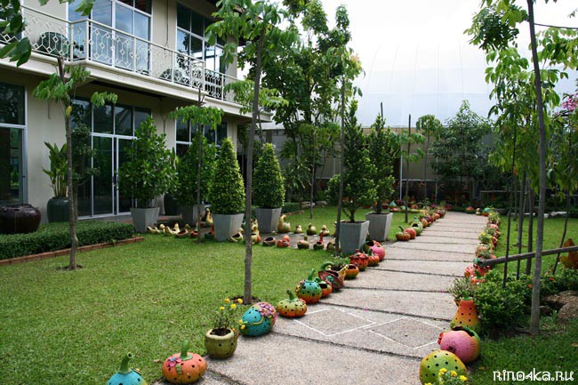 Ботанический сад на Пхукете, пхукетский парк орхидей, красивые места на Пхукете, куда пойти с детьми